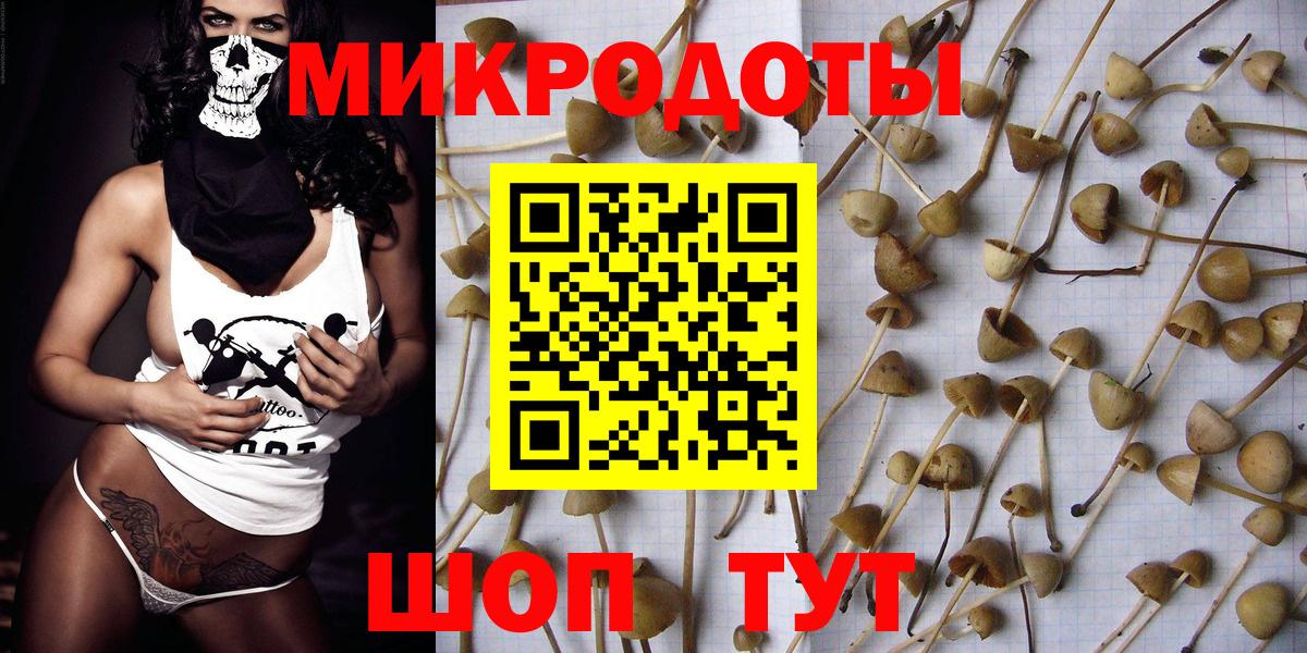 Галлюциногенные грибы Magic Shrooms Приморско-Ахтарск